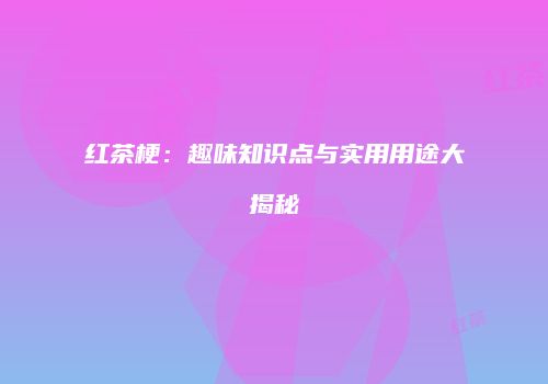 红茶梗：趣味知识点与实用用途大揭秘