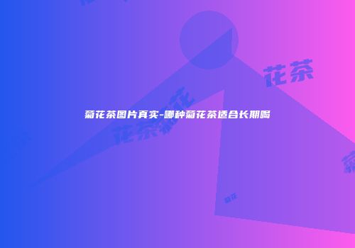 菊花茶图片真实-哪种菊花茶适合长期喝