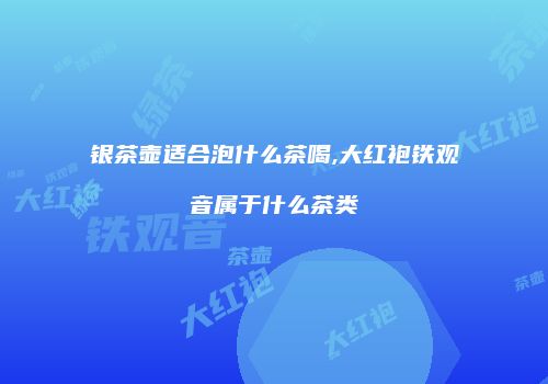 银茶壶适合泡什么茶喝,大红袍铁观音属于什么茶类