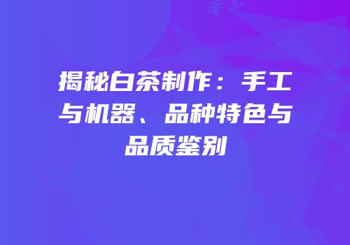 揭秘白茶制作：手工与机器、品种特色与品质鉴别