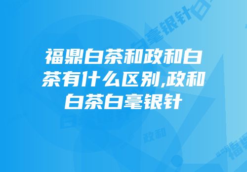 福鼎白茶和政和白茶有什么区别,政和白茶白毫银针