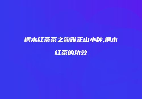 桐木红茶茶之韵雅正山小种,桐木红茶的功效
