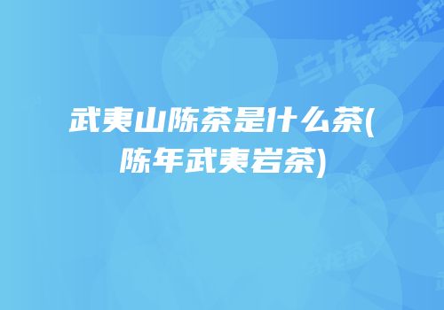 武夷山陈茶是什么茶(陈年武夷岩茶)