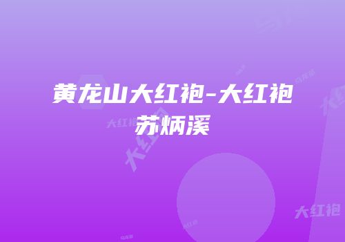 黄龙山大红袍-大红袍苏炳溪