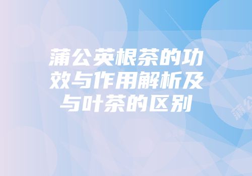 蒲公英根茶的功效与作用解析及与叶茶的区别