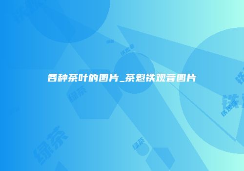 各种茶叶的图片_茶魁铁观音图片