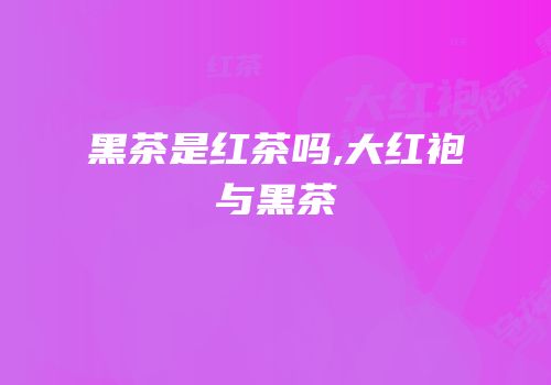 黑茶是红茶吗,大红袍与黑茶