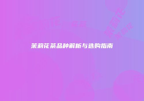 茉莉花茶品种解析与选购指南