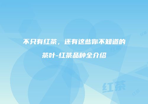 不只有红茶，还有这些你不知道的茶叶-红茶品种全介绍