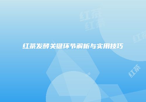红茶发酵关键环节解析与实用技巧