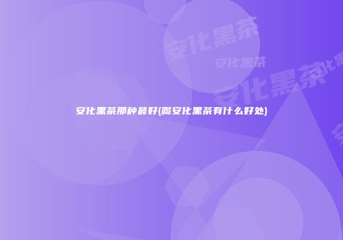 安化黑茶那种最好(喝安化黑茶有什么好处)