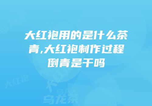 大红袍用的是什么茶青,大红袍制作过程倒青是干吗