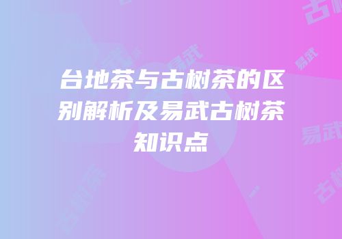 台地茶与古树茶的区别解析及易武古树茶知识点