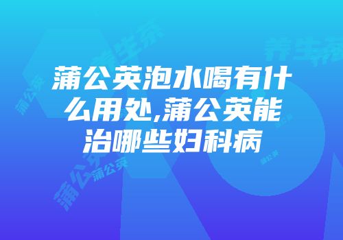 蒲公英泡水喝有什么用处,蒲公英能治哪些妇科病