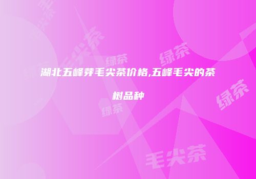 湖北五峰芽毛尖茶价格,五峰毛尖的茶树品种