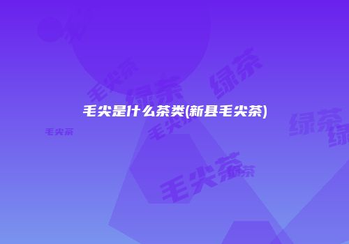 毛尖是什么茶类(新县毛尖茶)