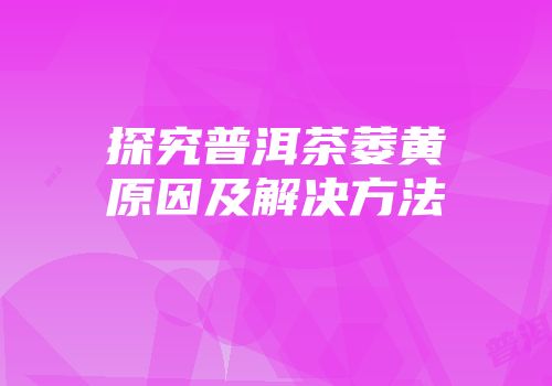 探究普洱茶萎黄原因及解决方法