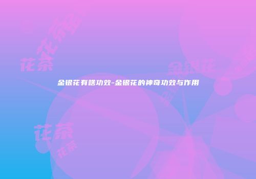 金银花有啥功效-金银花的神奇功效与作用