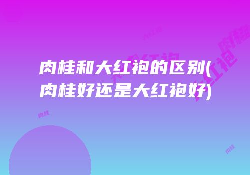 肉桂和大红袍的区别(肉桂好还是大红袍好)
