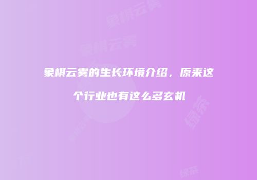 象棋云雾的生长环境介绍，原来这个行业也有这么多玄机