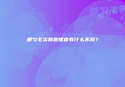 都匀毛尖和碧螺春有什么不同？