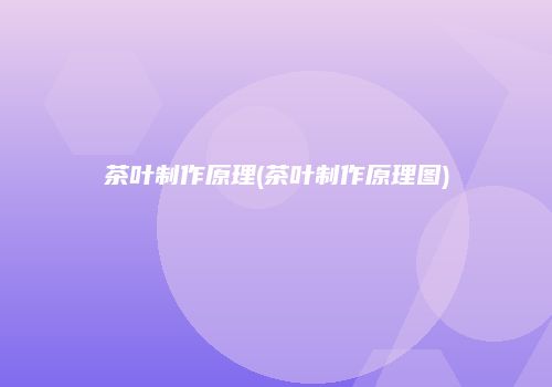 茶叶制作原理(茶叶制作原理图)
