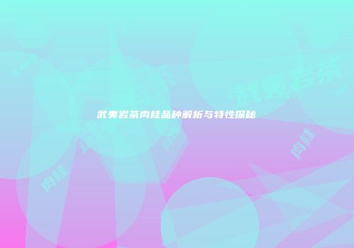 武夷岩茶肉桂品种解析与特性探秘