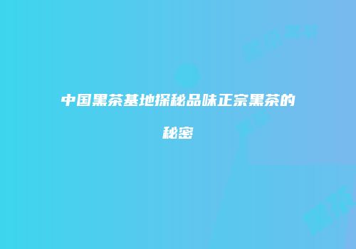 中国黑茶基地探秘品味正宗黑茶的秘密