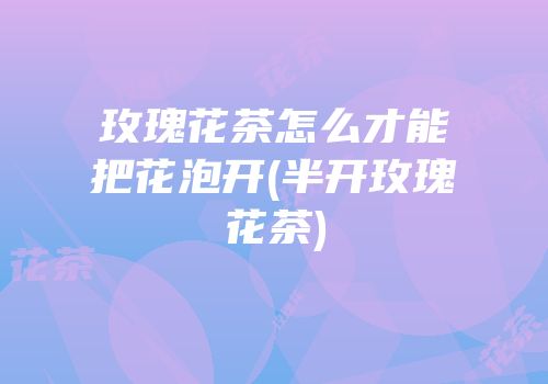 玫瑰花茶怎么才能把花泡开(半开玫瑰花茶)