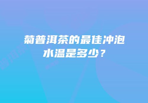 菊普洱茶的最佳冲泡水温是多少？
