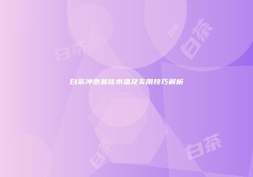 白茶冲泡最佳水温及实用技巧解析
