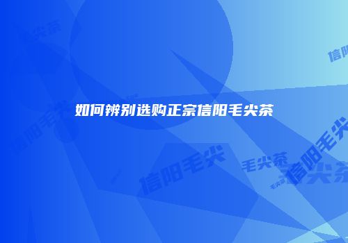 如何辨别选购正宗信阳毛尖茶