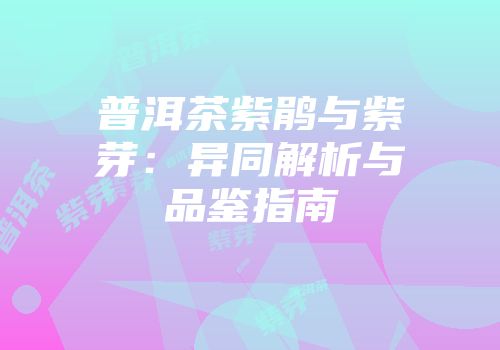 普洱茶紫鹃与紫芽：异同解析与品鉴指南