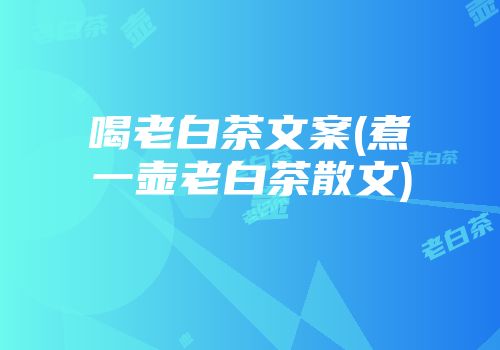 喝老白茶文案(煮一壶老白茶散文)