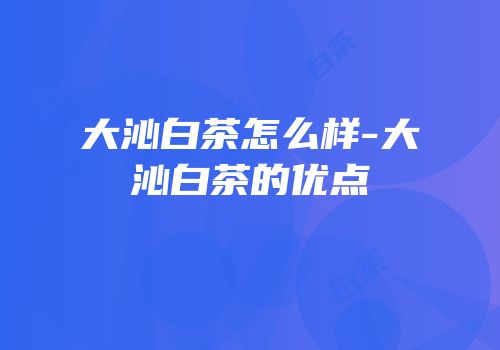 大沁白茶怎么样-大沁白茶的优点