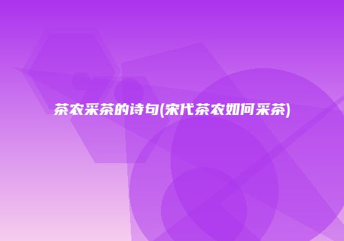茶农采茶的诗句(宋代茶农如何采茶)