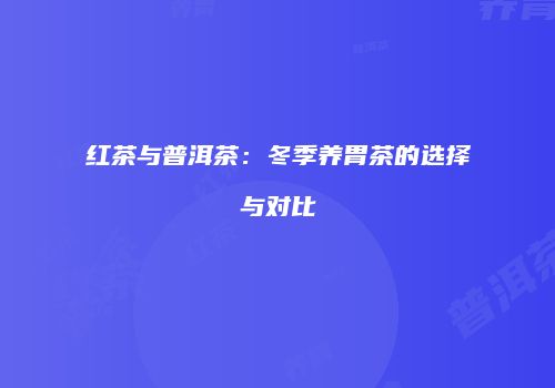 红茶与普洱茶：冬季养胃茶的选择与对比