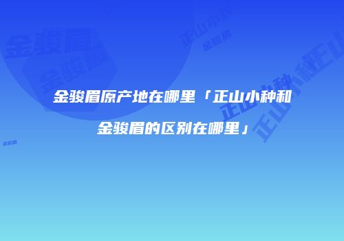 金骏眉原产地在哪里「正山小种和金骏眉的区别在哪里」