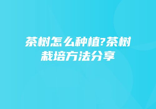 茶树怎么种植?茶树栽培方法分享