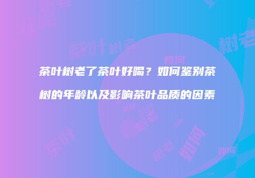 茶叶树老了茶叶好喝？如何鉴别茶树的年龄以及影响茶叶品质的因素