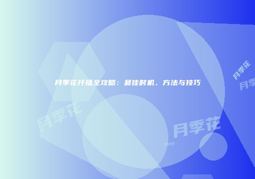 月季花扦插全攻略：最佳时机、方法与技巧