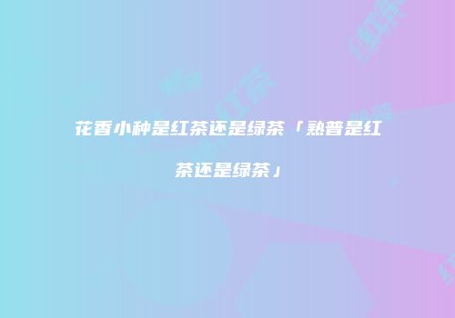 花香小种是红茶还是绿茶「熟普是红茶还是绿茶」