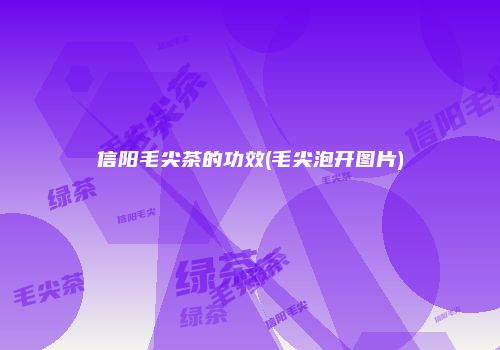 信阳毛尖茶的功效(毛尖泡开图片)