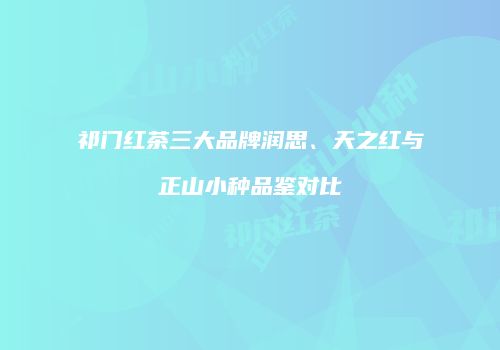 祁门红茶三大品牌润思、天之红与正山小种品鉴对比