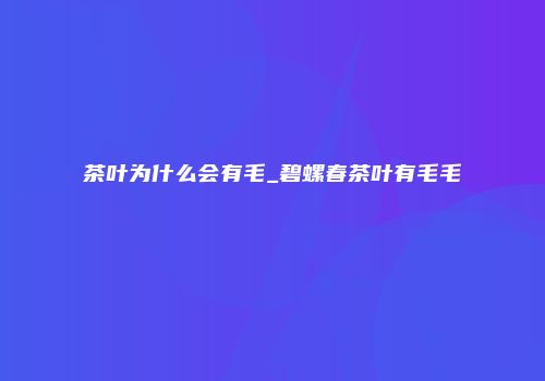 茶叶为什么会有毛_碧螺春茶叶有毛毛
