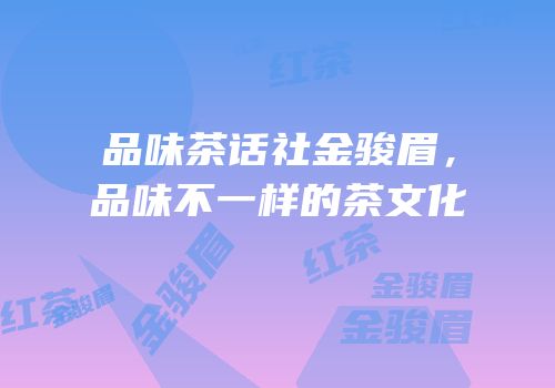 品味茶话社金骏眉，品味不一样的茶文化