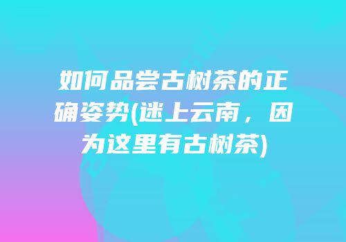 如何品尝古树茶的正确姿势(迷上云南，因为这里有古树茶)