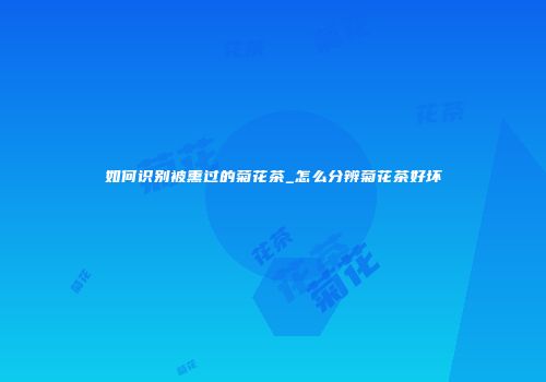 如何识别被熏过的菊花茶_怎么分辨菊花茶好坏
