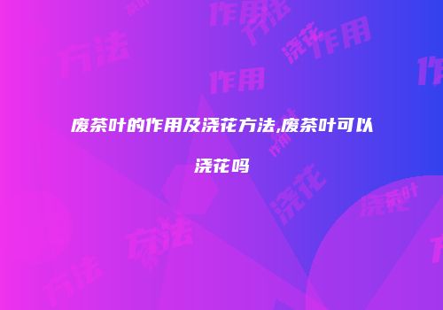 废茶叶的作用及浇花方法,废茶叶可以浇花吗