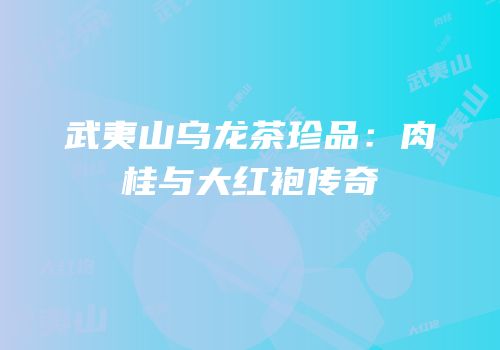 武夷山乌龙茶珍品：肉桂与大红袍传奇